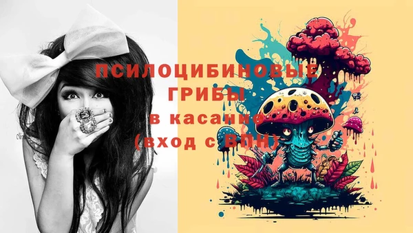амф Бежецк