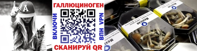 нарко площадка состав  продажа наркотиков  Вятские Поляны  Псилоцибиновые грибы MAGIC MUSHROOMS 